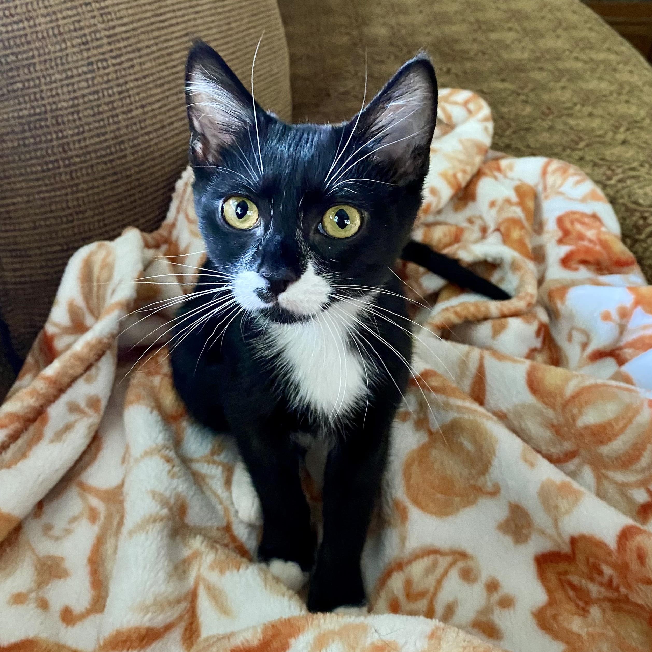 Peanut