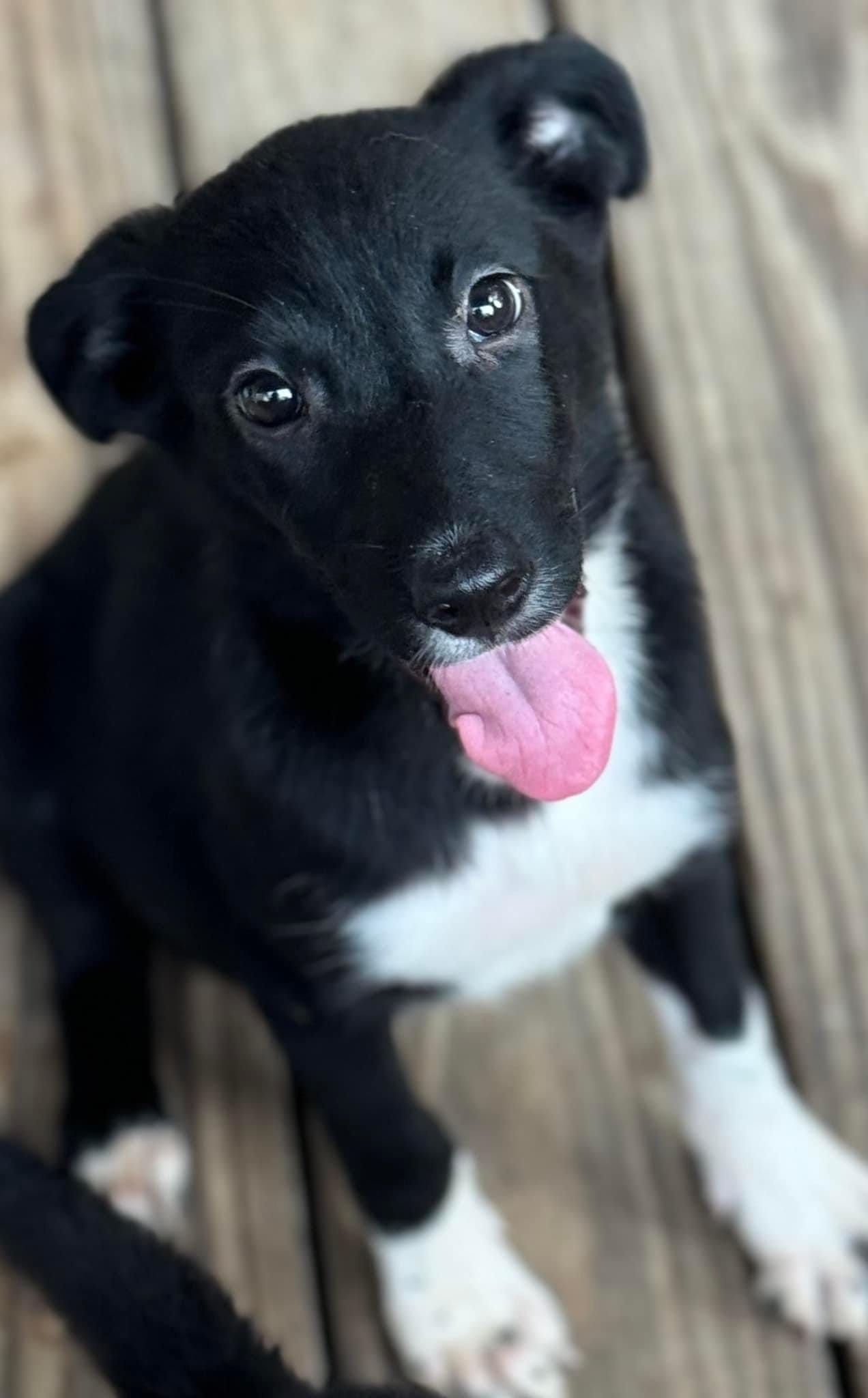 Copper