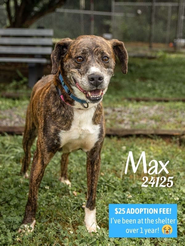 Max