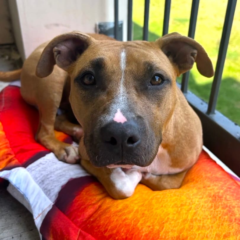 Ellie