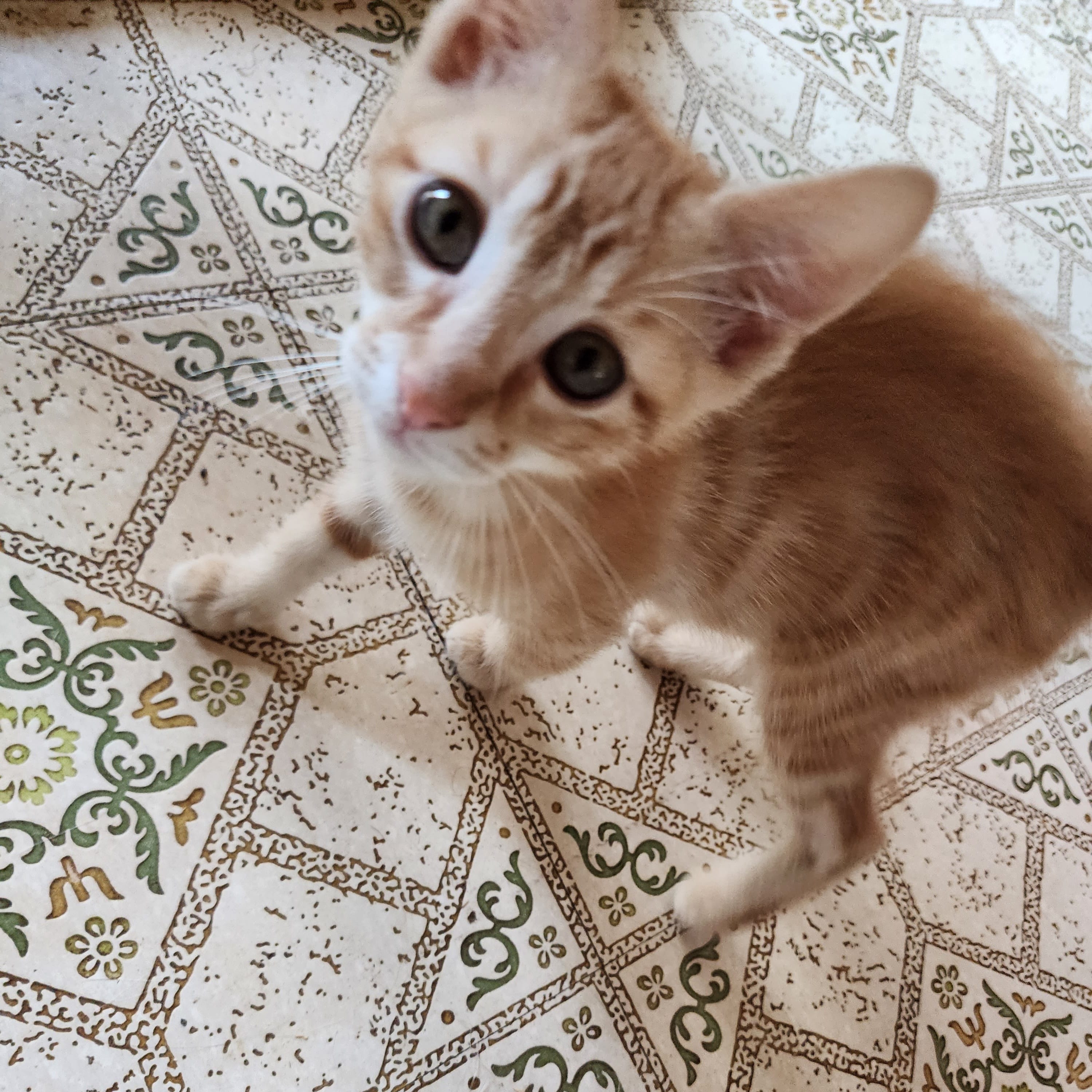 Charlie