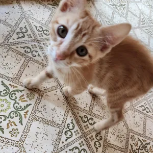 Charlie