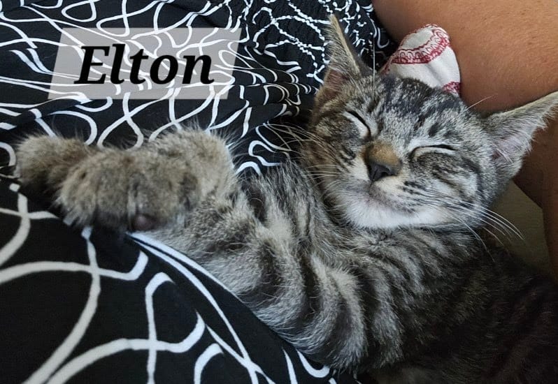 Elton