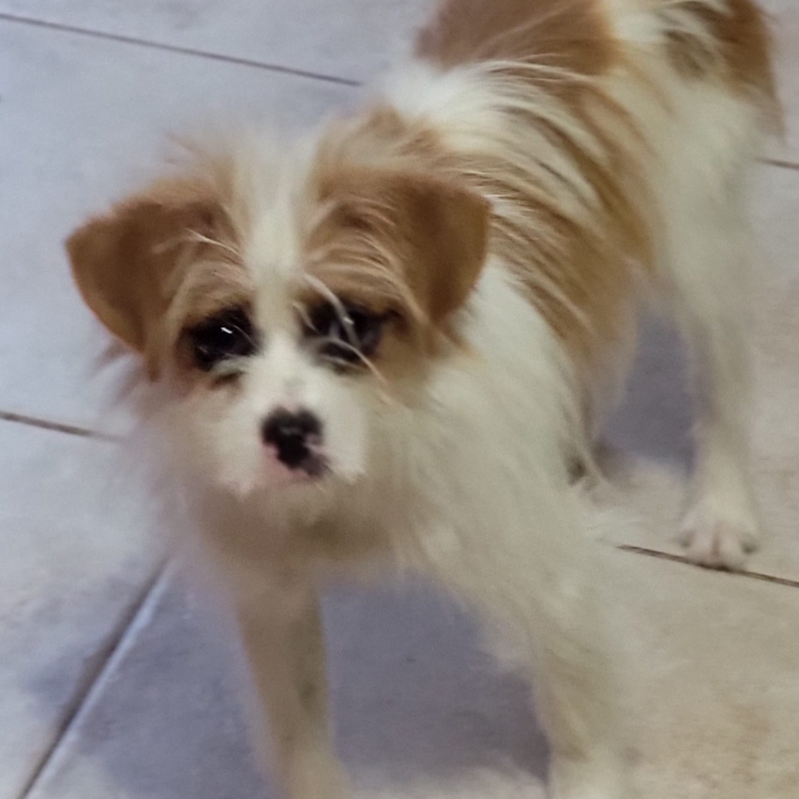 BENNY