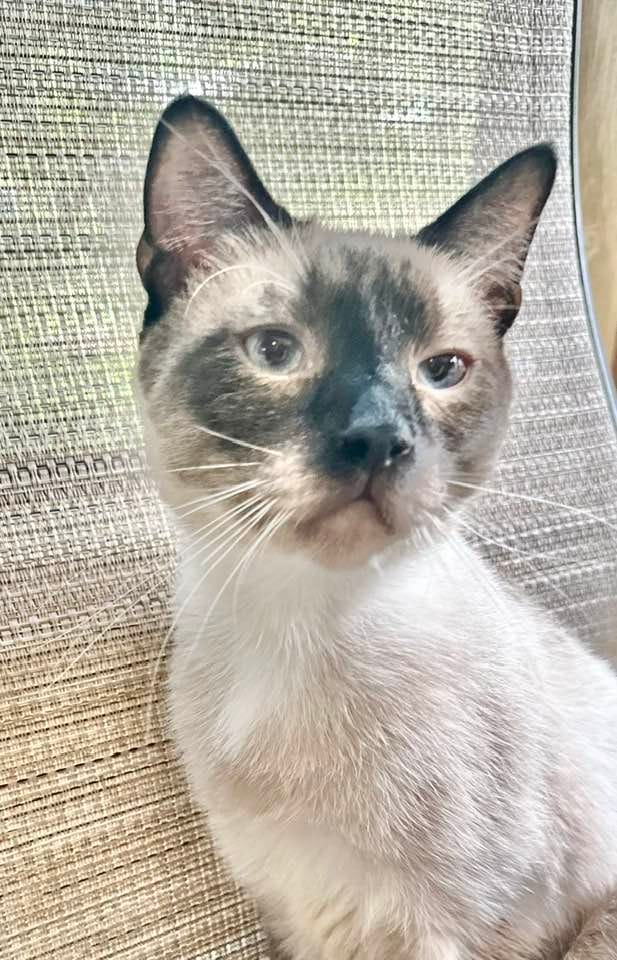 Max