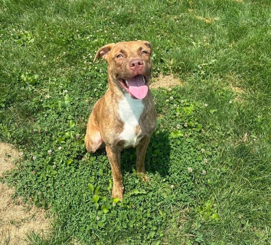 Duke