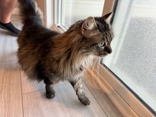 Nina