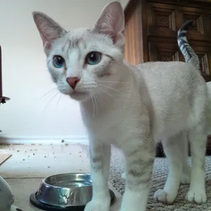 Benny