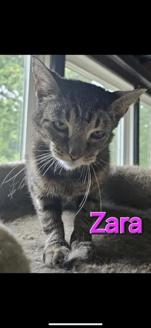 Zara
