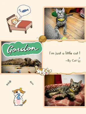 Gordon