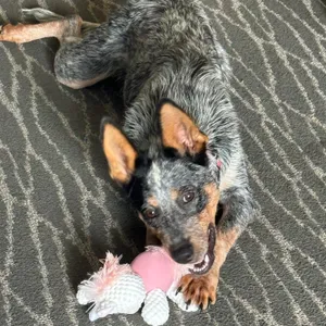 Ellie Mae