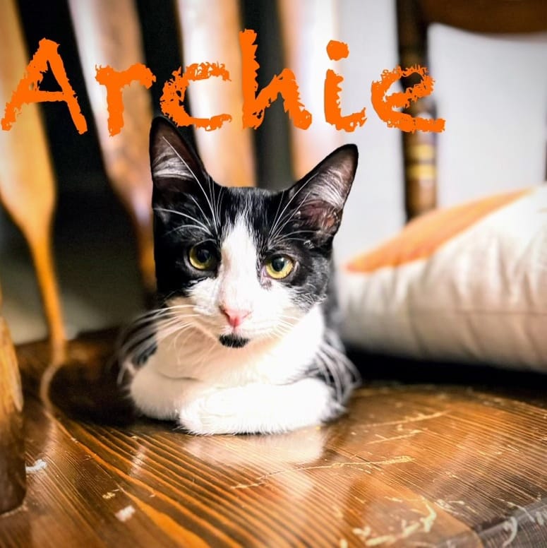 Archie