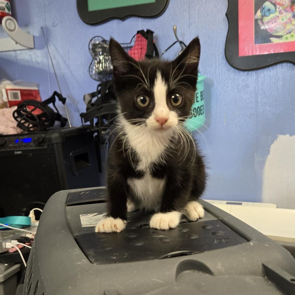 Lennon