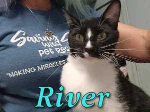 River