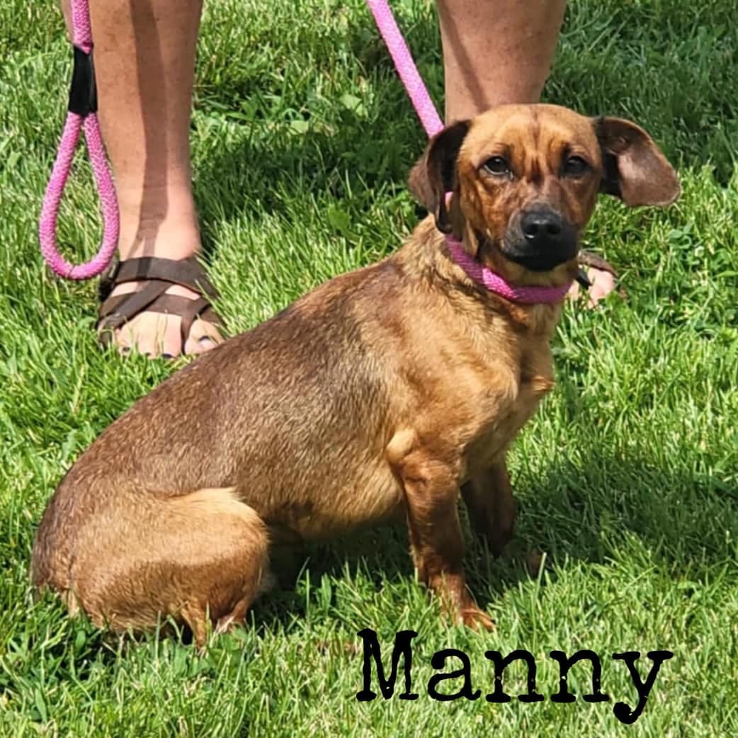 Manny