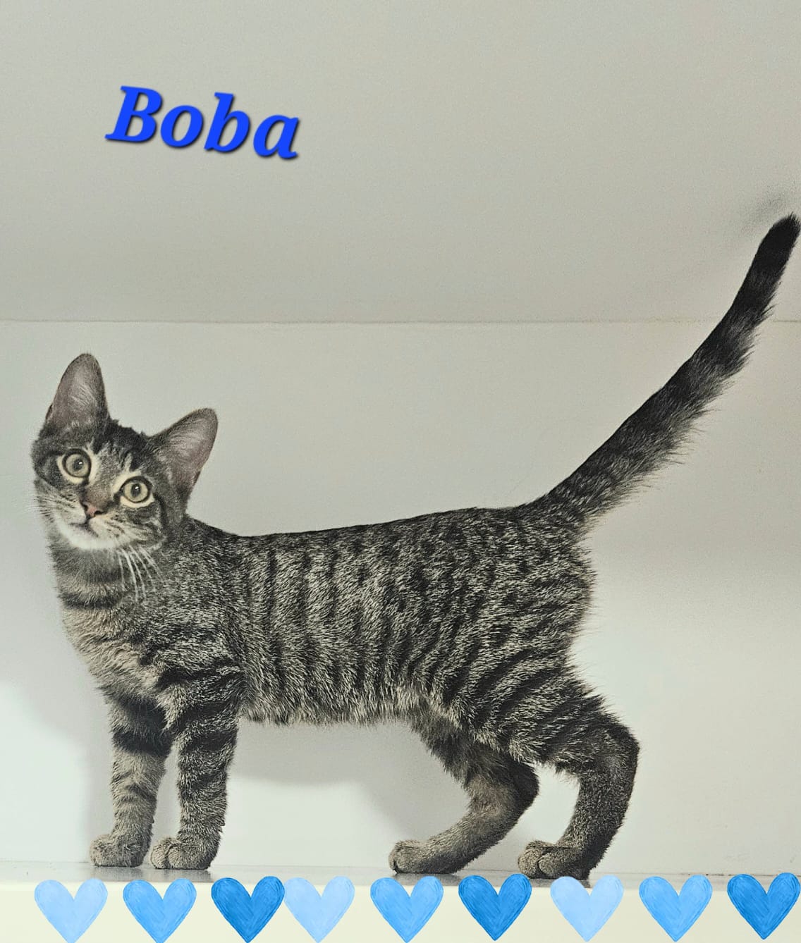 Boba