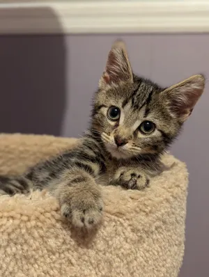 Bruce