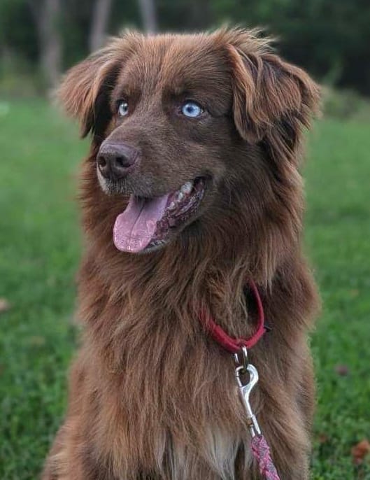 Boone