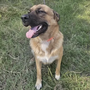 Jax