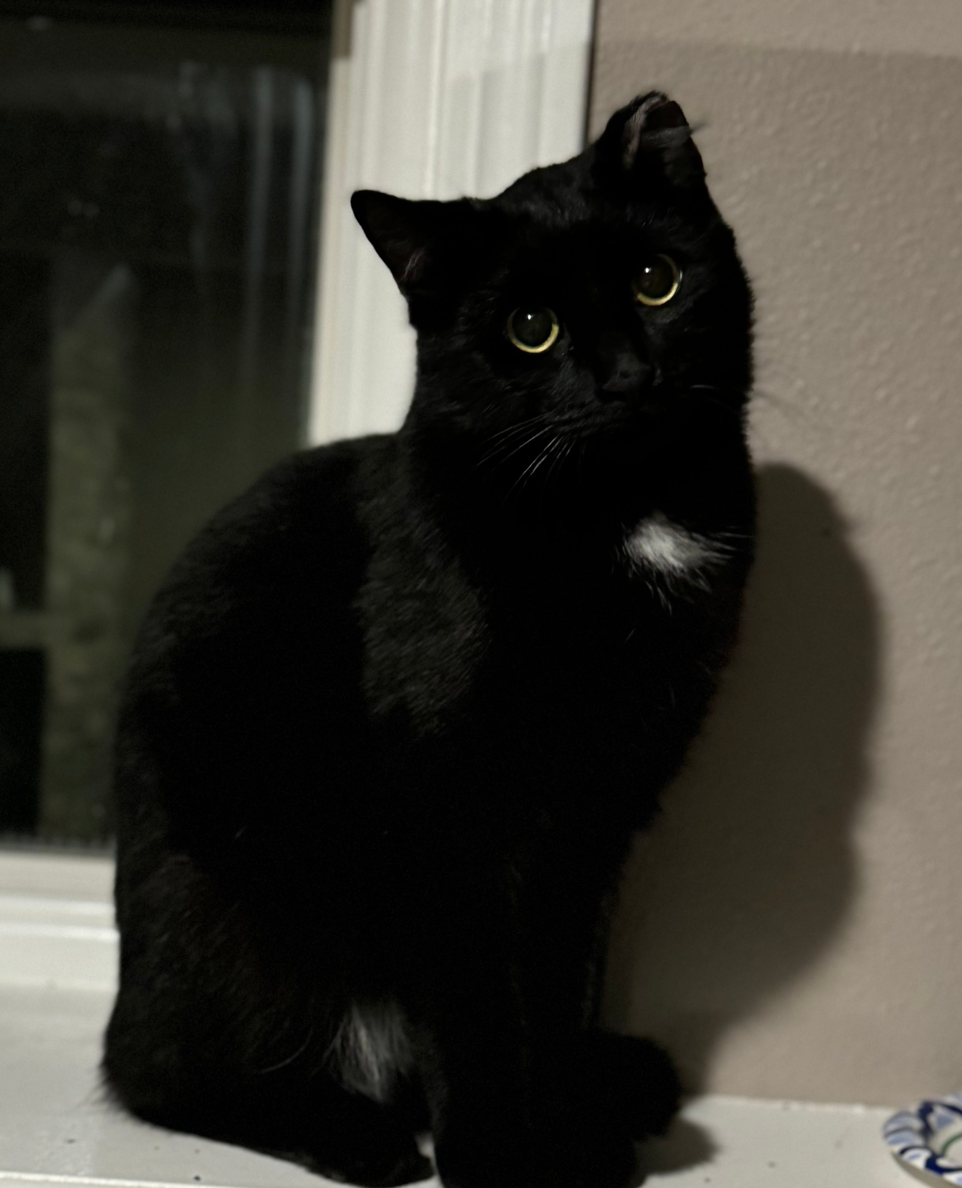 Jet