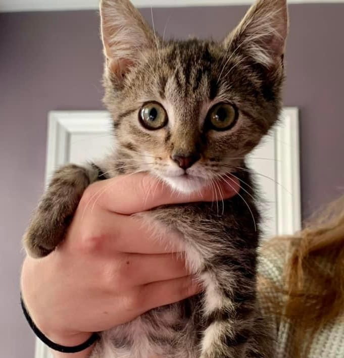 Tina