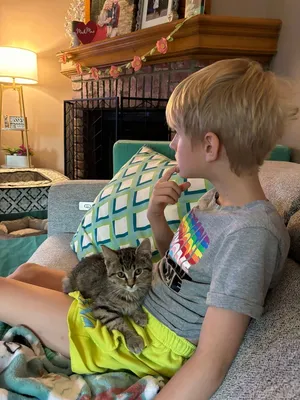 Pebbles