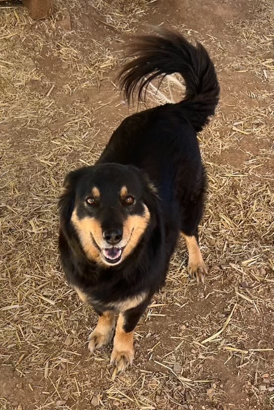 Lucy Lou