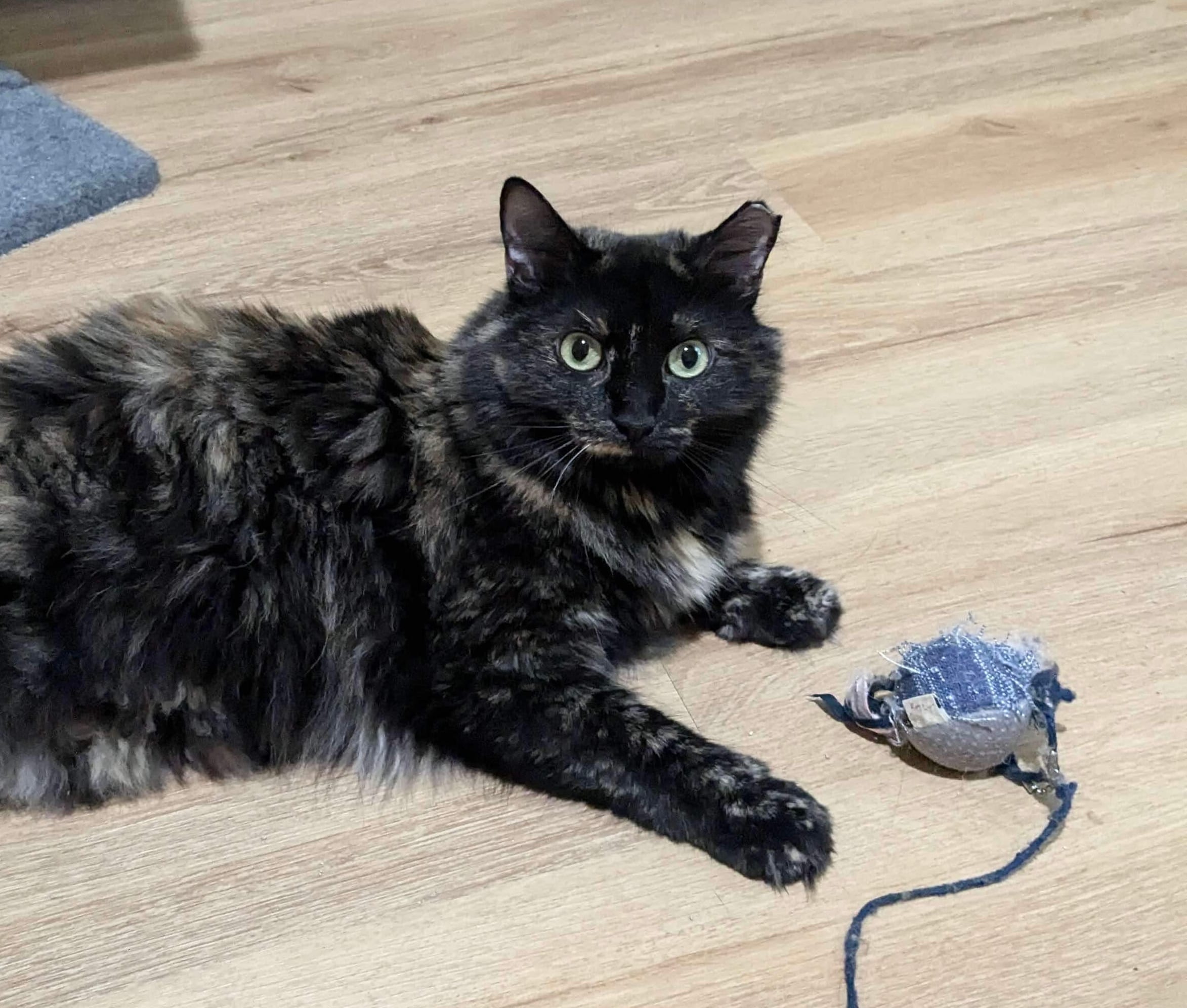 Bitsy