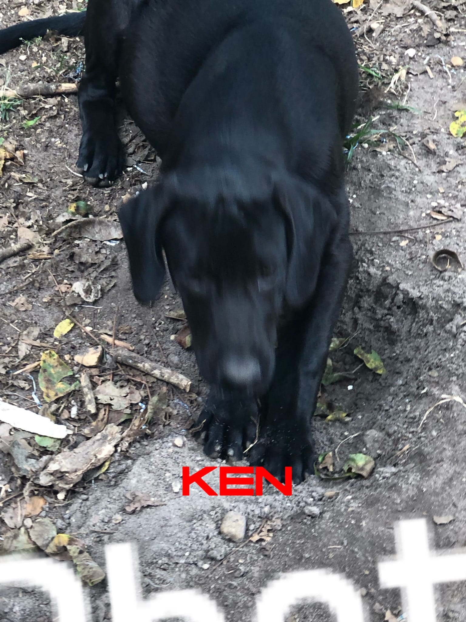 Ken
