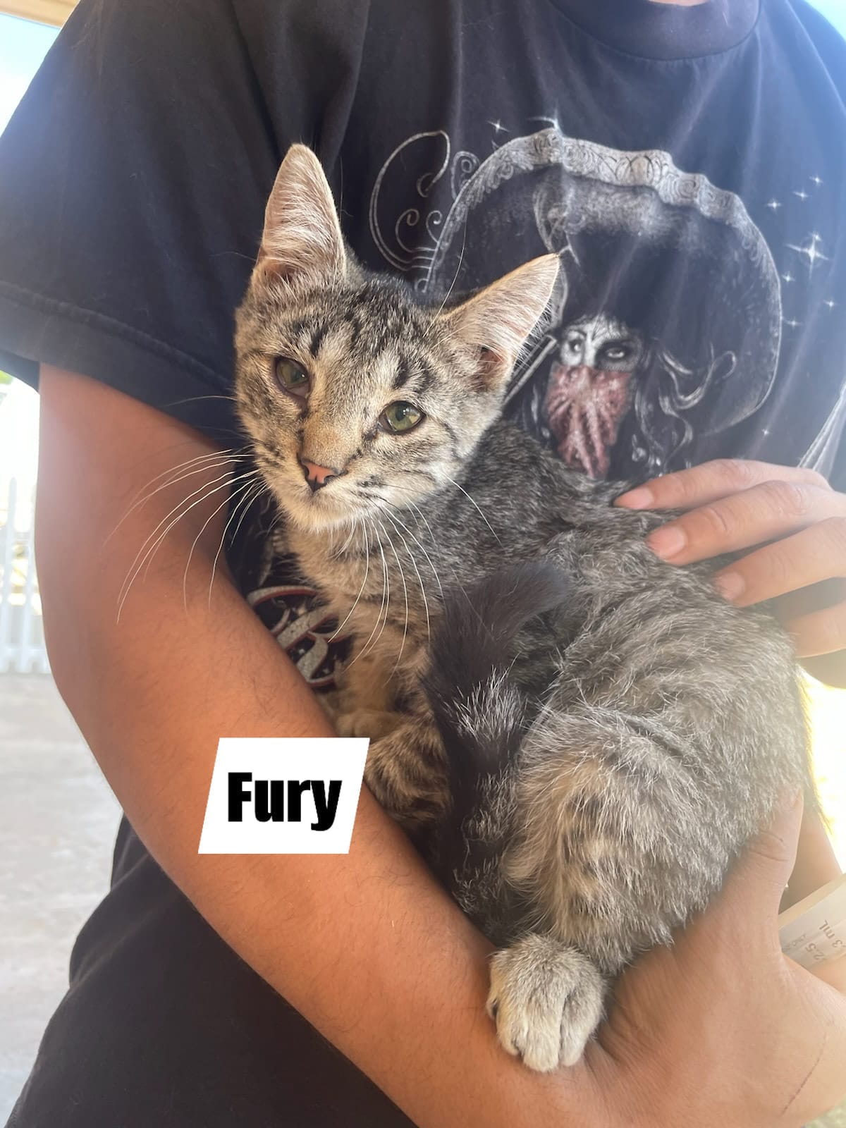 Fury