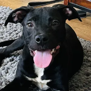 Barkley