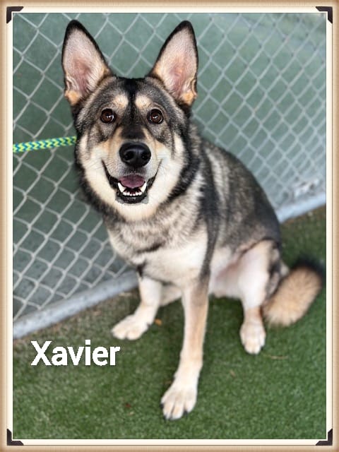 XAVIER