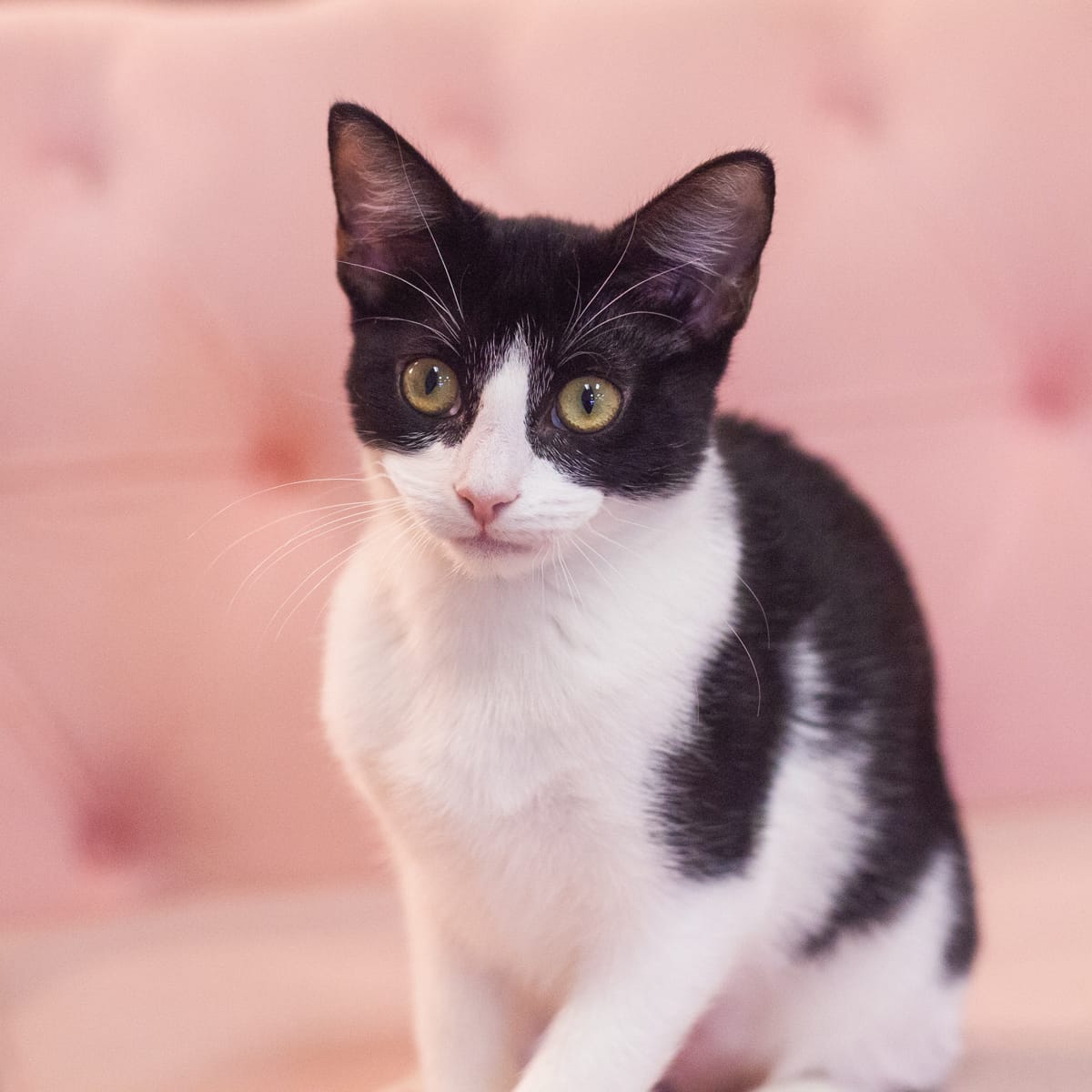 Clara