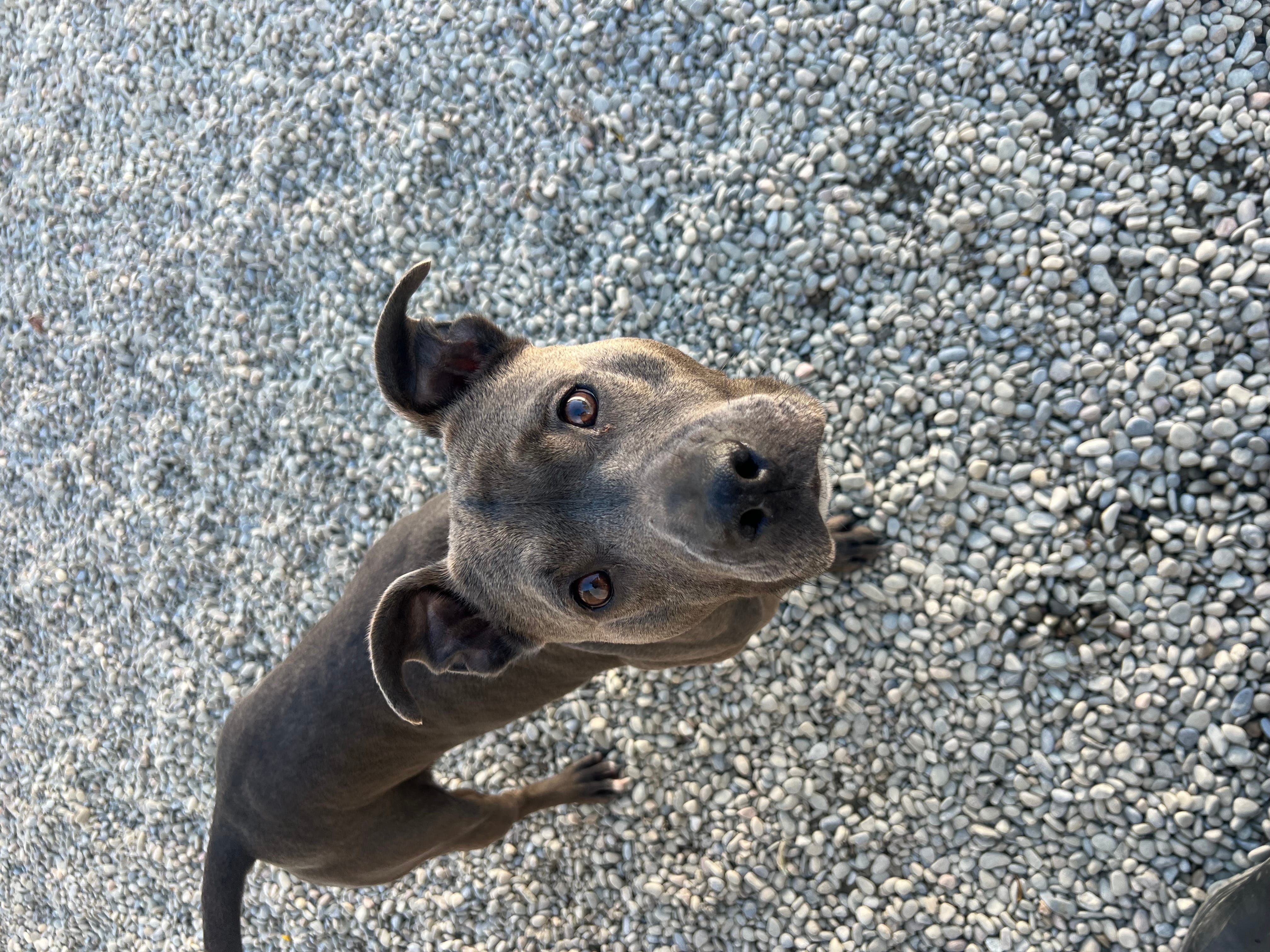 Lilah