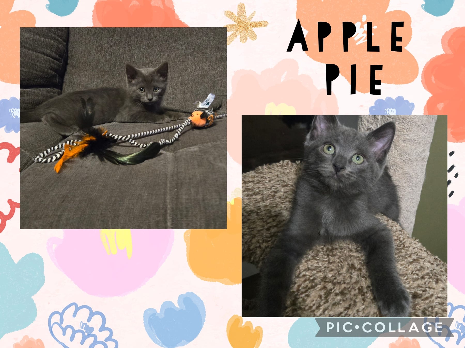 Apple Pie