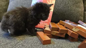 Jenga