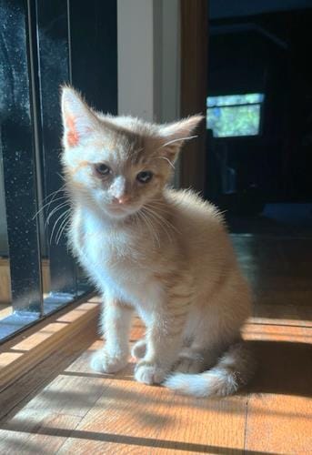Zuko