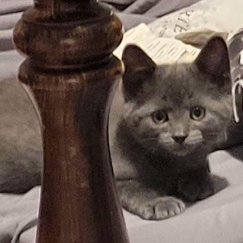 Cashmere