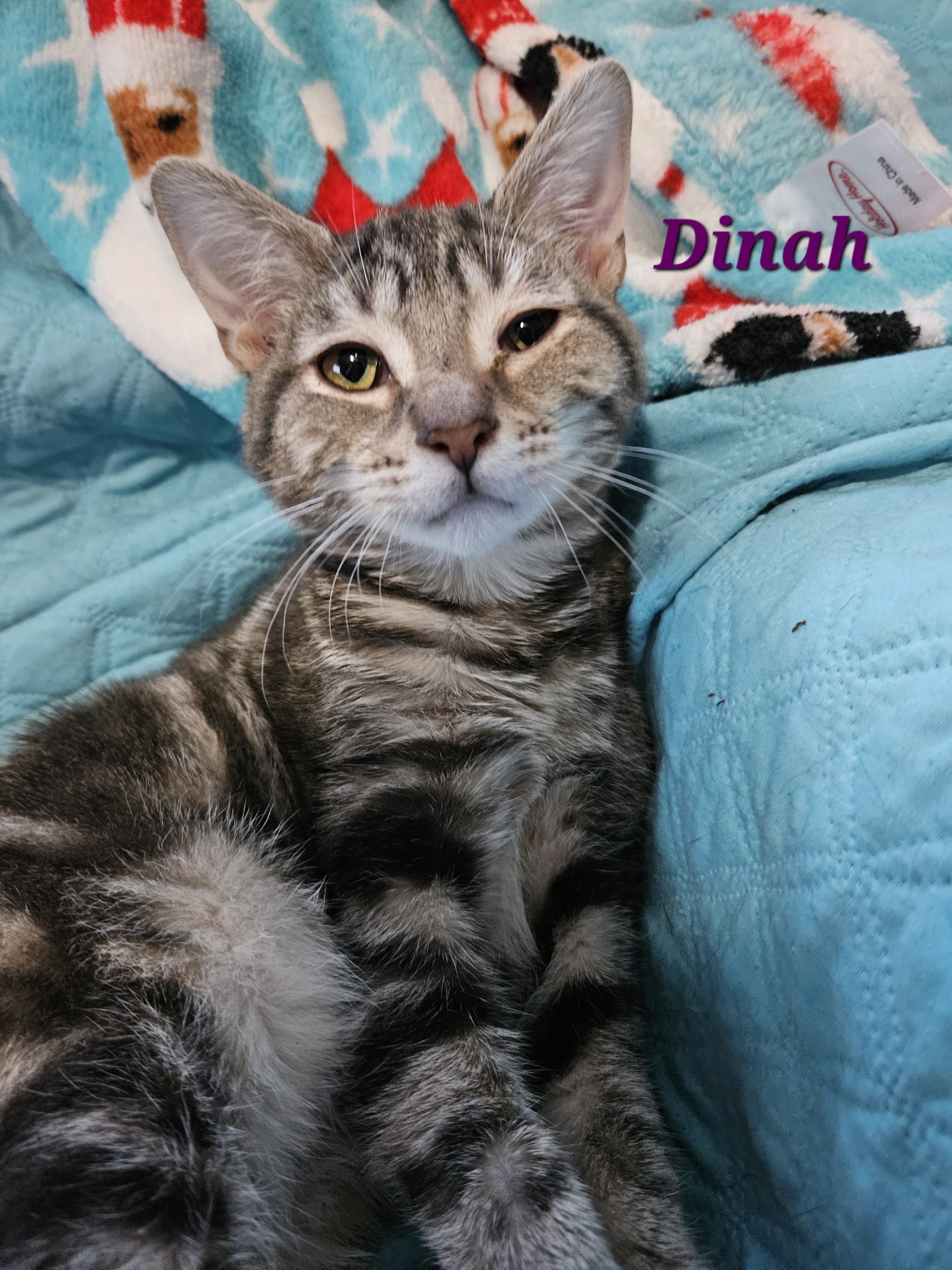 Dinah