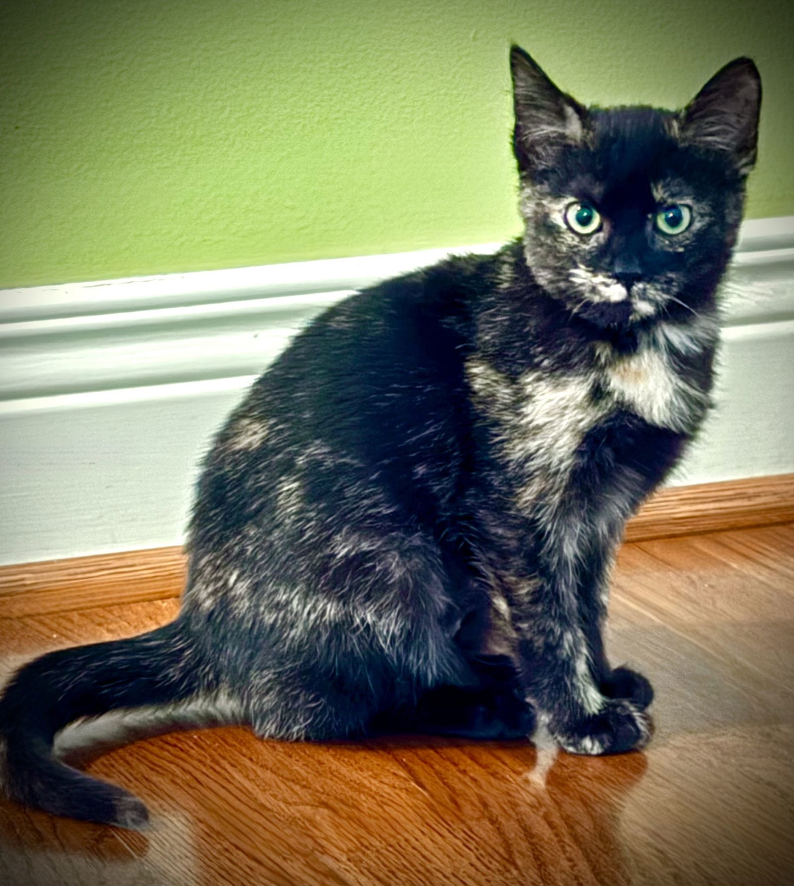 Lillith