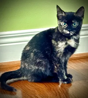 Lillith