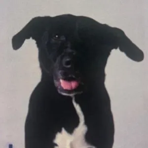 Tux