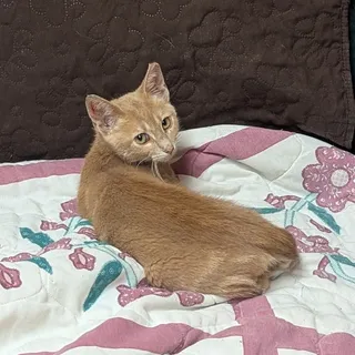 Topaz
