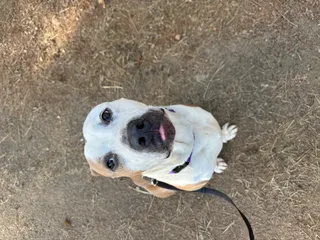 Rusty