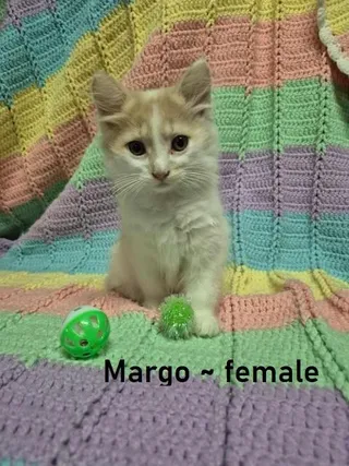 Margo