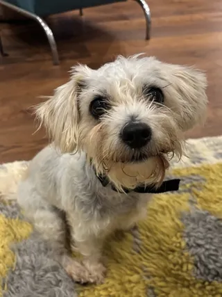 Eloise