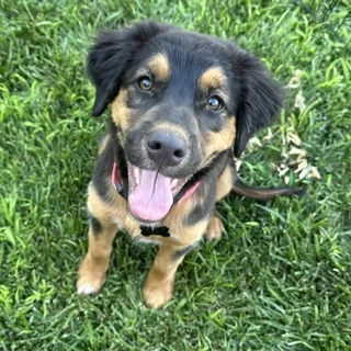 Zoe