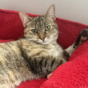 Natasha