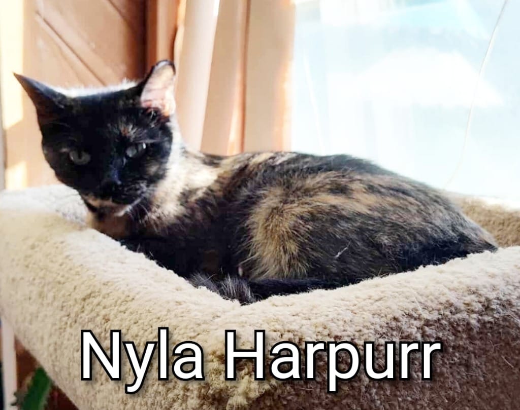Nyla Harpurr