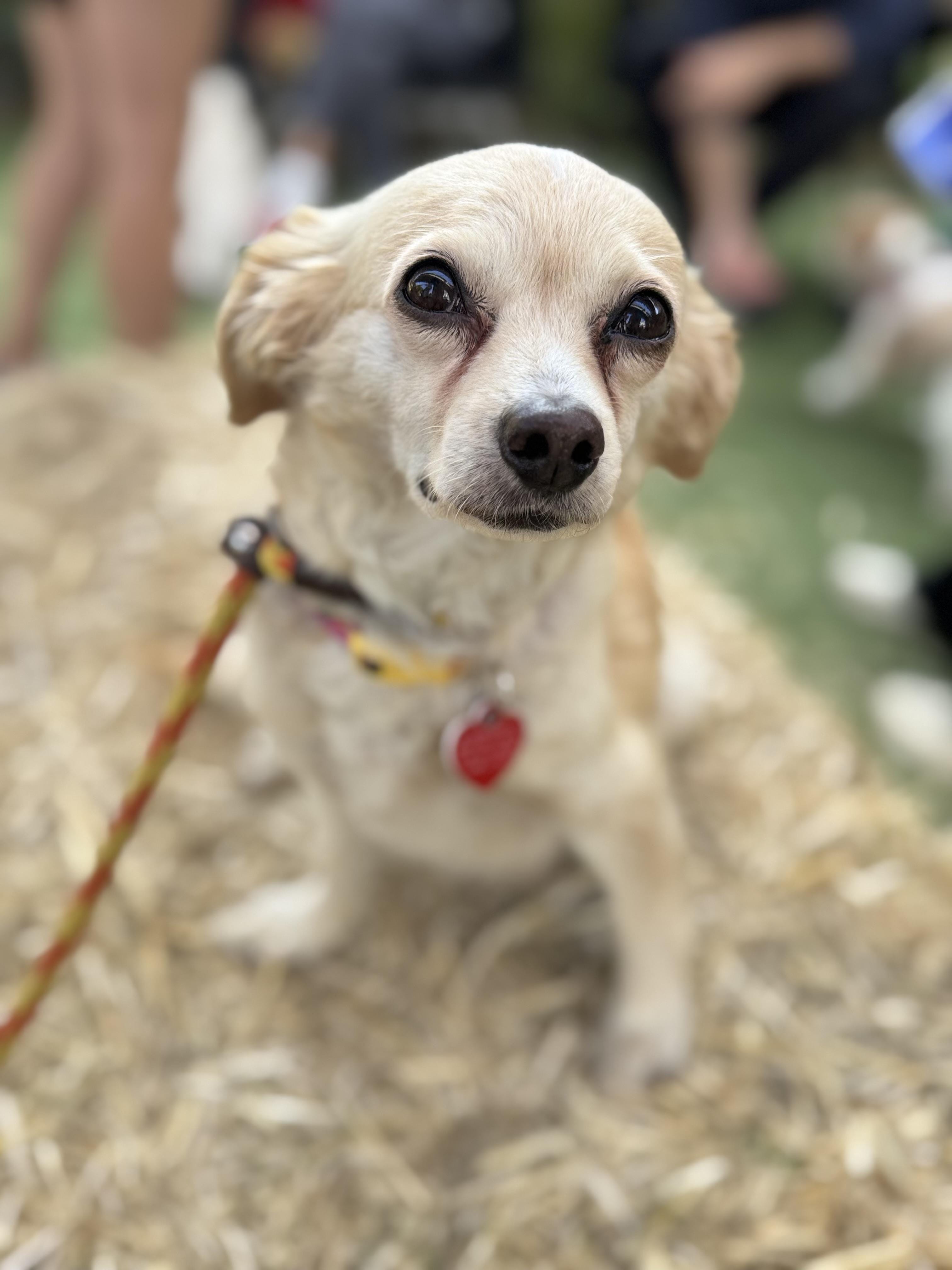 Poppet is a little love machine